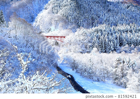 雪松川谷 81592421