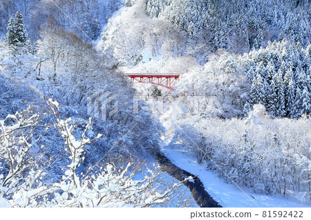 雪松川谷 81592422