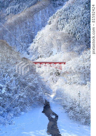 雪松川谷 81592424