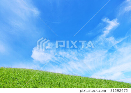 Autumn blue sky and meadow landscape Autumn blue sky and meadow landscape 81592475