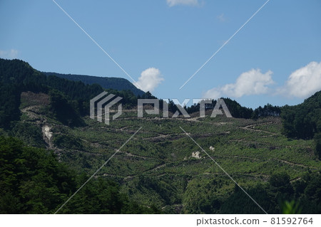 The road that opened up Sugiyama 81592764