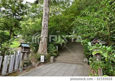 從葛城一子神社 從葛城一子神社 81593028