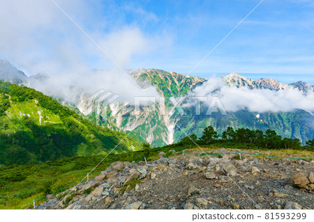 夏季唐松岳登山：從八方池向白馬三山眺望 81593299