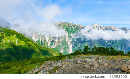 夏季唐松岳登山:從八方池向白馬三山眺望 夏季唐松岳登山:從八方池向白馬三山眺望 81593300