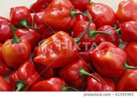 habañero pepper 81593465
