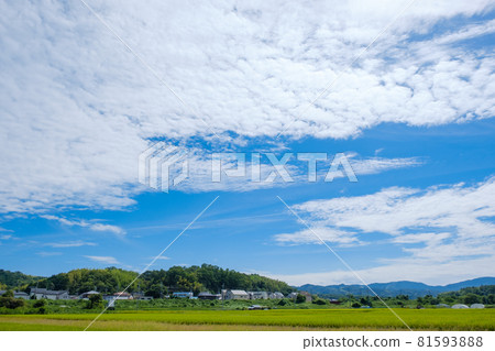 有稻田和藍天的農村地區京都府木津川市 81593888