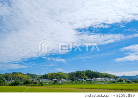 有稻田和藍天的農村地區京都府木津川市 81593889
