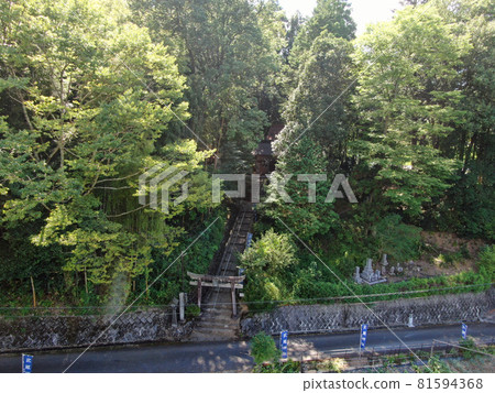 武藏之裡的武藏神社森林鳥瞰圖 81594368