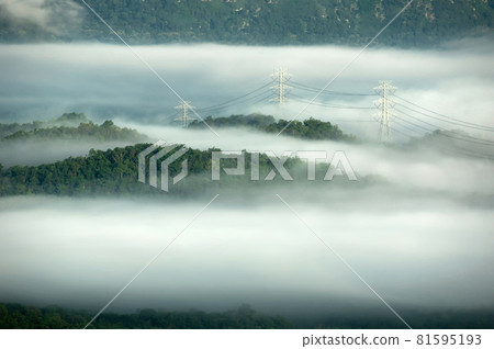 High voltage power poles in green forest with fog. High voltage power poles in green forest with fog. 81595193