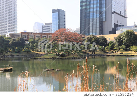 東京都港區芝離宮秋景 81595254