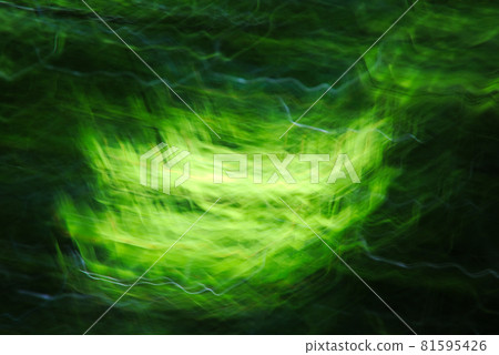 在森林裡搖動楓樹的幼葉 81595426