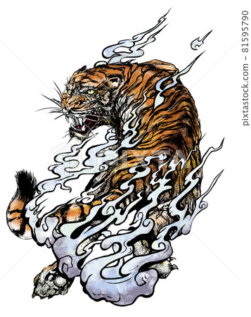 Tiger's illustration Tiger's illustration 81595790