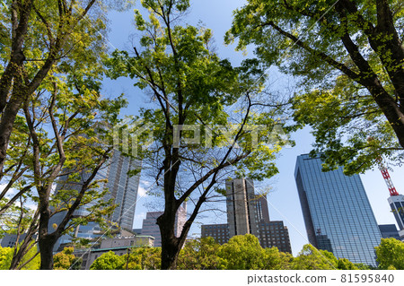 Hibiya buildings and trees Hibiya buildings and trees 81595840