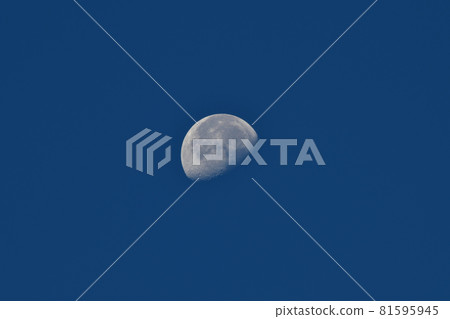 Hakushu-cho, Hokuto-shi, 18.5-year-old moon remaining in the dawning sky (position: center) Hakushu-cho, Hokuto-shi, 18.5-year-old moon remaining in the dawning sky (position: center) 81595945