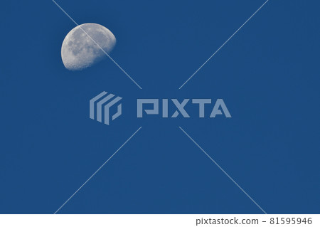 Hakushu-cho, Hokuto City, the moon of 18.5 years old that remains in the dawning sky (position: upper left) 81595946