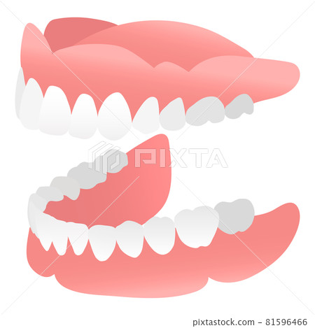 Side of dentures (dentures) 81596466