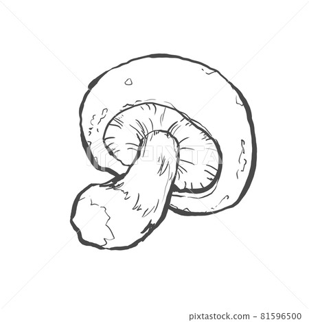 日式手繪香菇線條藝術插畫 81596500