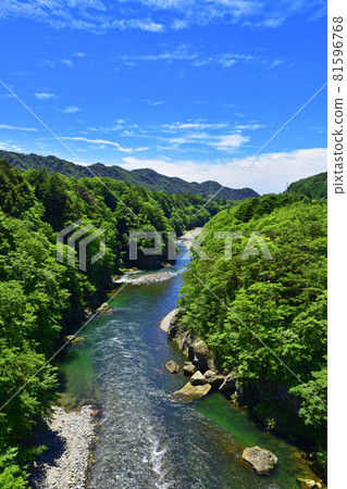 The fresh green Kinugawa Valley seen from the Kinugawa Suspension Bridge 81596768