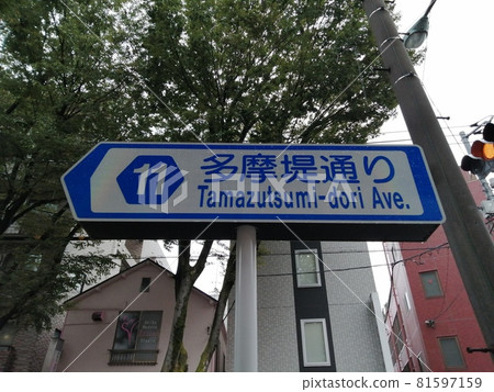 在 11 號公路的路標下丸子拍攝 81597159