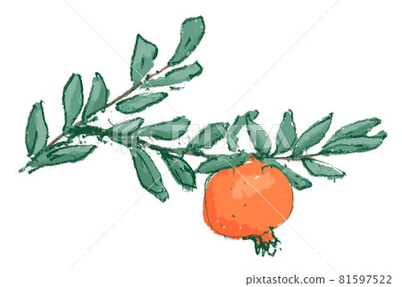 石榴與紅色水果從夏季到秋季的插圖 81597522