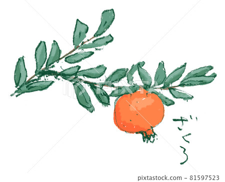 石榴與紅色水果從夏季到秋季的插圖 81597523