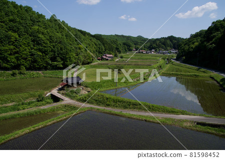 Rural landscape in early summer Rural landscape in early summer 81598452