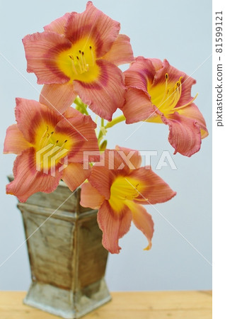 紅棕色萱草花和錫花瓶 紅棕色萱草花和錫花瓶 81599121