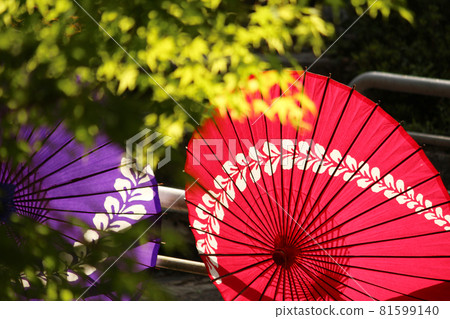 日本京都的日本雨傘和新鮮綠楓 日本京都的日本雨傘和新鮮綠楓 81599140