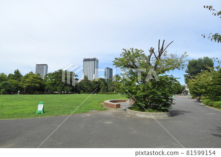 Higashiyama Park, Higashiyama, Meguro-ku, Tokyo Higashiyama Park, Higashiyama, Meguro-ku, Tokyo 81599154