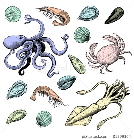 Sea food in hand drawn woodcut style in pastel delicate colors isolated on white background, mollusks and crab. 81599304