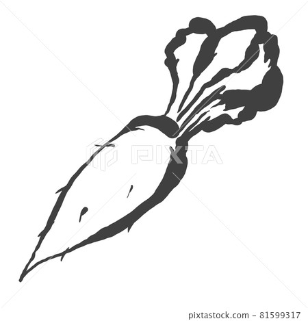 Hand-painted brush painting style illustration of radish 81599317