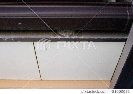 Salt damage under the eaves Salt damage under the eaves 81600021