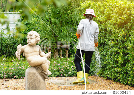 Back view of woman gardener wearing  hat in a garden watering hose splashing water on the lawn and tree leafs . Slow living, gardening hobby concept. Watering plants daily housekeeping routine. 81600434