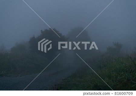 Dense fog 81600709