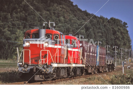 JR Freight DE10 double-headed freight train 81600986