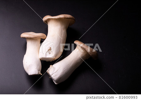 Autumn taste Mushroom Eringi fresh ingredients Yamanoko restaurant Autumn taste Mushroom Eringi fresh ingredients Yamanoko restaurant 81600993