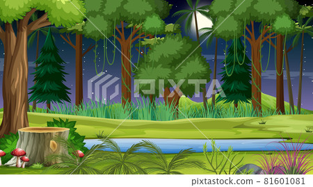 Forest landscape scene at night with many different trees 81601081