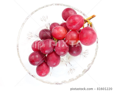 葡萄葡萄 81601220