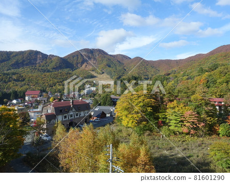 Autumn leaves, yellow leaves, Zao hot spring town 81601290