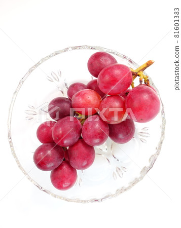 葡萄葡萄 葡萄葡萄 81601383