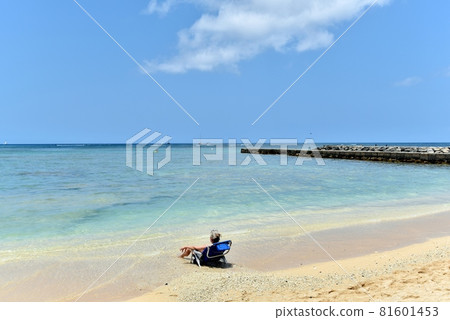 Holidays in Hawaii 81601453