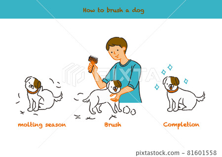 The flow of dogs trimming 81601558