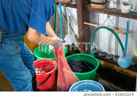 Indigo dyeing work preparation for dehydration 81601824