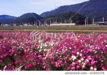 JR West 113 series 81602576