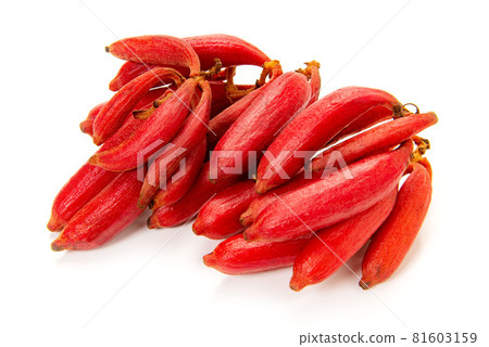 Tsuchiakabe 81603159