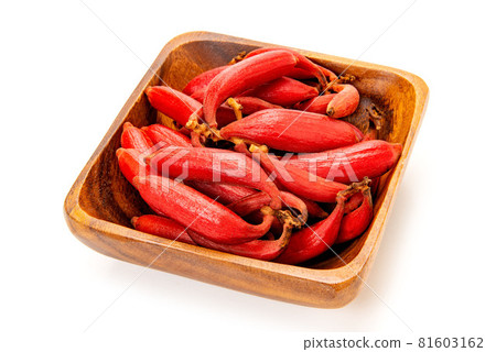 血紅肉果蘭 81603162