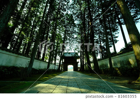 Shikoku 88 Pilgrimage Sacred Ground No. 29 Fudasho Mamayama Hozoin The approach leading to Kokubunji Temple Shikoku 88 Pilgrimage Sacred Ground No. 29 Fudasho Mamayama Hozoin The approach leading to Kokubunji Temple 81603355