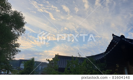 首爾菖蒲花園 81604148