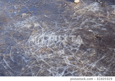 Shards of ice on a frozen ground Shards of ice on a frozen ground 81605929