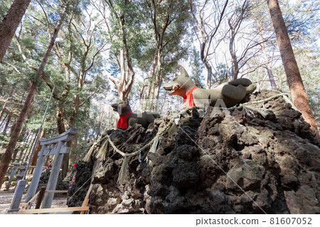 Toyokawa Inari Spirit Whale Mound 81607052